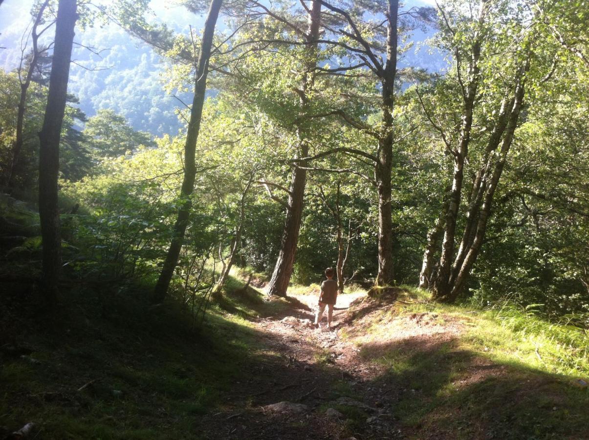 Wigwam, Ecolo Glamping Tente de luxe